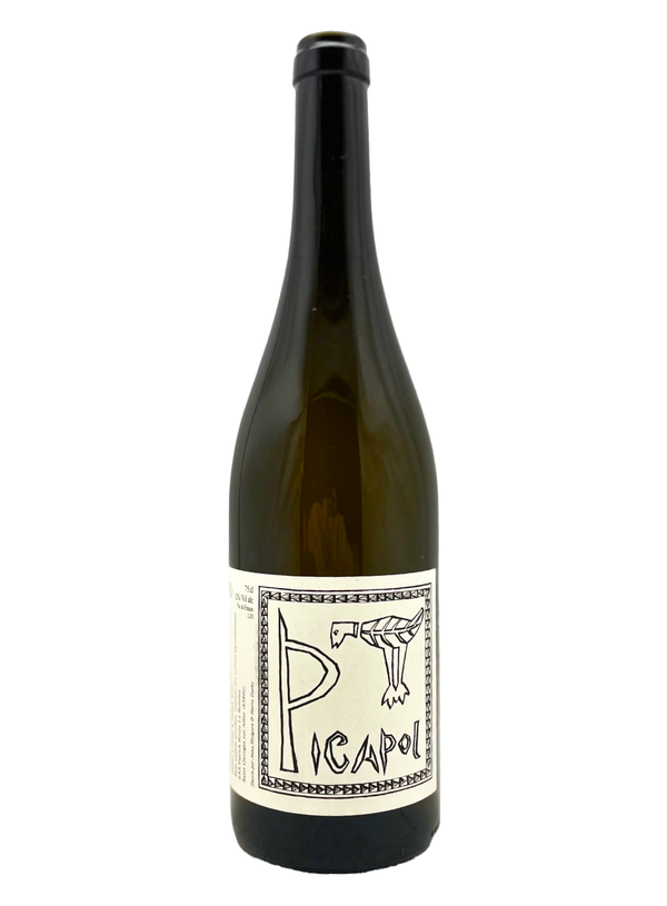 Picapol | Natural Wine by Patrick Bouju.