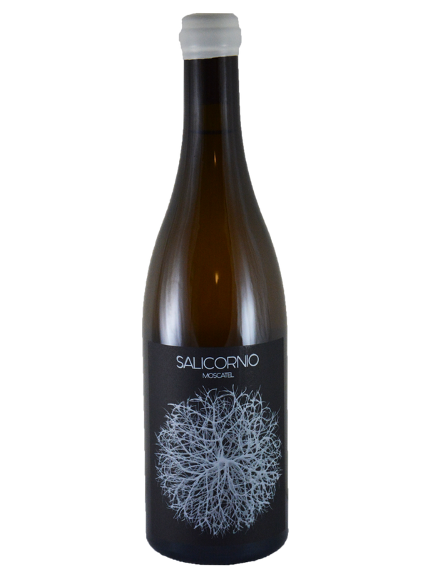 Salicornio blanco | Natural Wine by Vinessens.