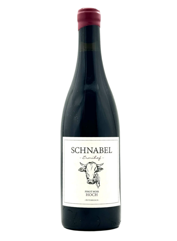 Pinot Noir Hochegg 2021 | Natural Wine by Schnabel.