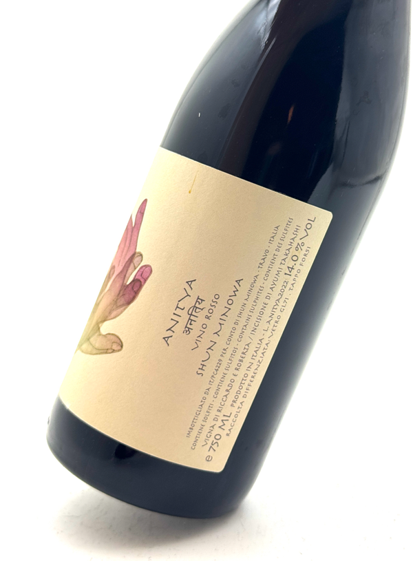 anitya - shun minowa