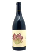 Shun Minowa - Anitya