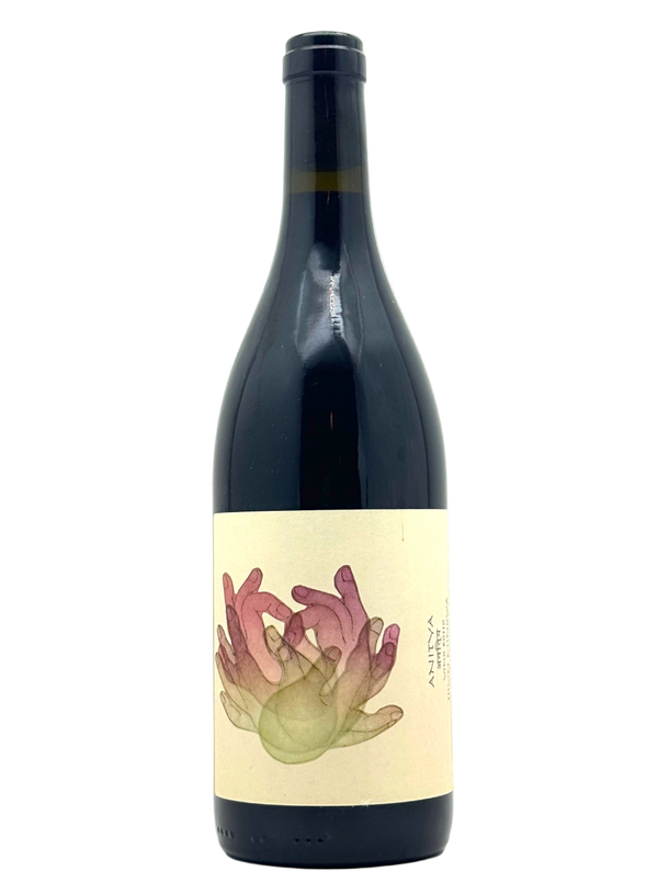 Shun Minowa - Anitya