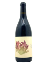 Shun Minowa - Anitya