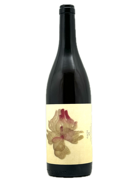Shun Minowa | Gate 2020 | MORE Natural Wine