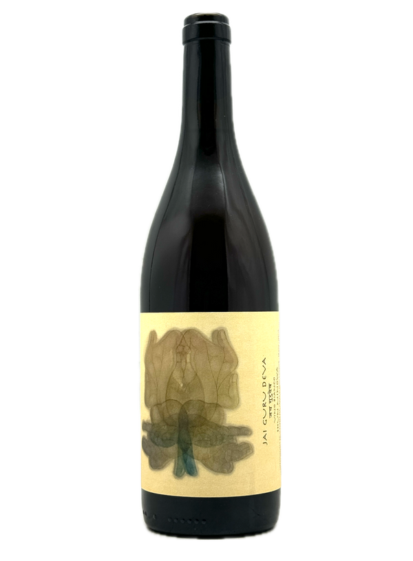 Shun Minowa – MORE Natural Wine Shun Minowa – MORE Natural Wine