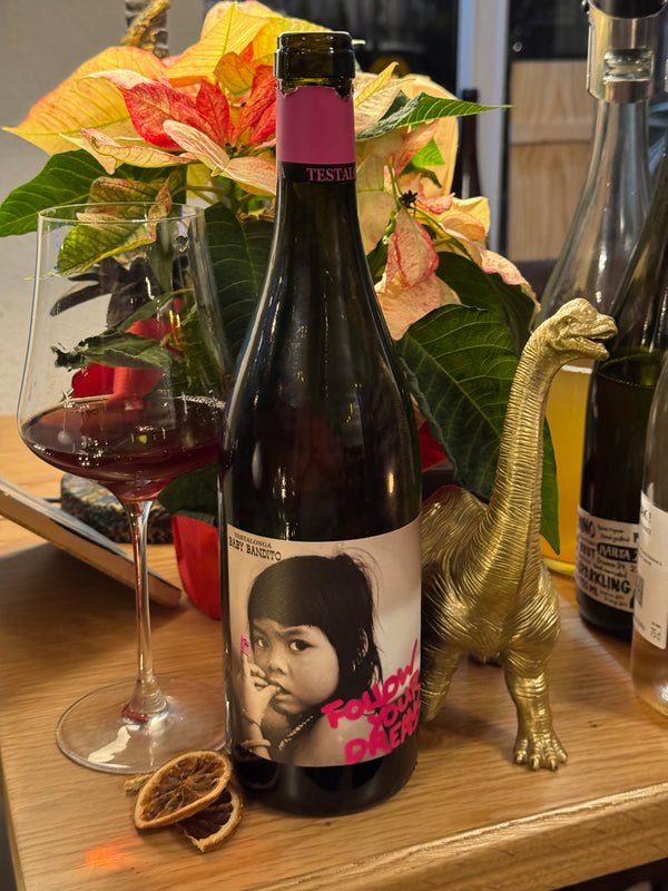 Testalonga Baby Bandito Follow Your Dreams
