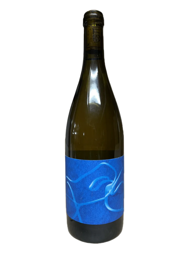 Chenin Blanc "Le Vrille"         | Natural Wine by Thomas Puéchavy .