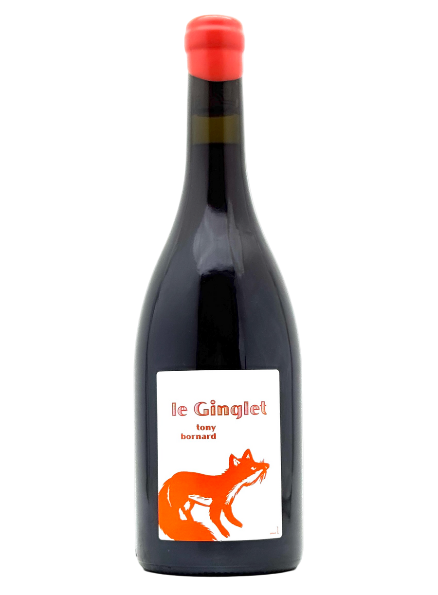 Domaine Bornard | ジュラ地方ピュピランのトニー・ボルナールのワイン