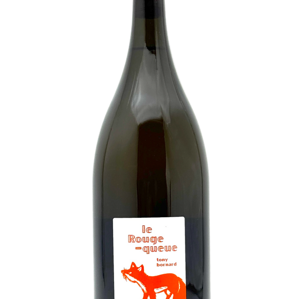 トニー・ボルナール | Le Rouge Queue 2020 MAGNUM | MORE Natural Wine