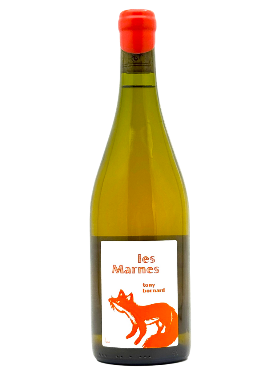 Domaine Bornard | Tony Bornard wines from Pupillin, Jura – MORE
