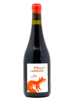 Tony Bornard - Pinocambule
