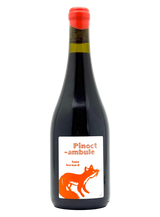 Tony Bornard - Pinocambule
