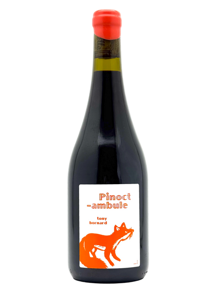 Tony Bornard | Le Pinoctambule 2022 | MORE Natural Wine