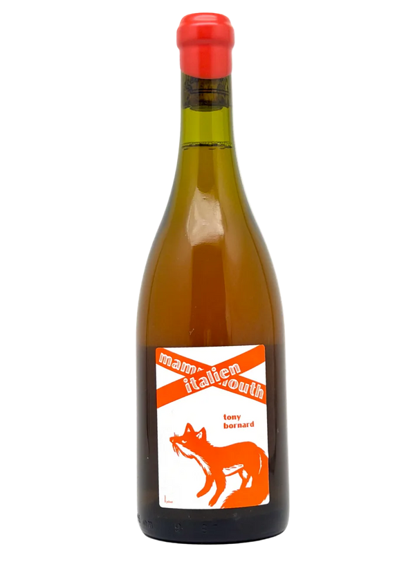 Tony Bornard | Savagnin Amphore Italienne 2018 | MORE Natural Wine