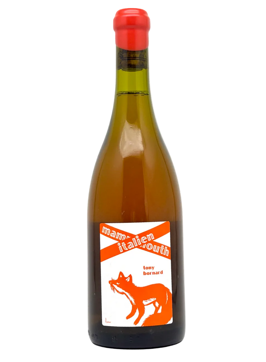 Domaine Bornard | Tony Bornard wines from Pupillin, Jura – MORE