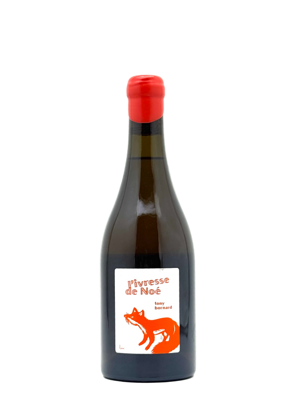 Domaine Bornard | Tony Bornard wines from Pupillin, Jura – MORE Domaine Bornard | Tony Bornard wines from Pupillin, Jura – MORE