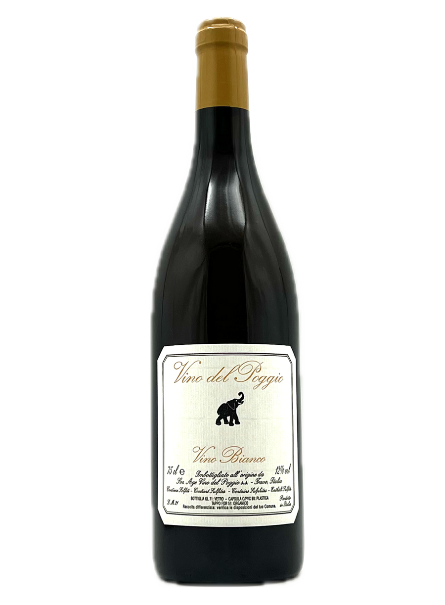 Vino del Poggio – MORE Natural Wine