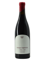 Pana Vision 2022 | Natural Wine by Vinyes Tortuga.