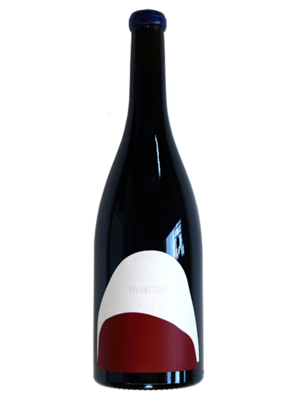 Bouju Vivanterre Gamay
