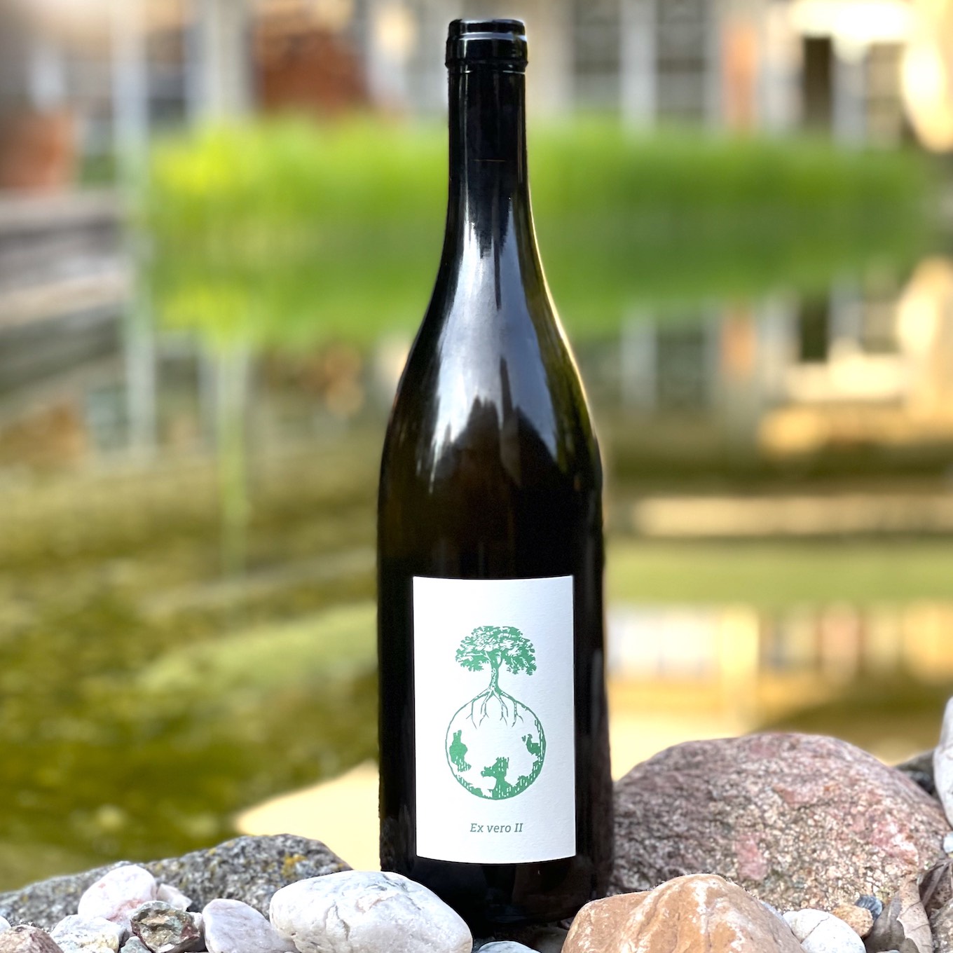 Werlitsch, Tscheppe | エクスベロII S – MORE Natural Wine