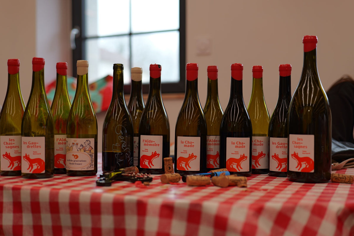 Tony Bornard wines at a tasting