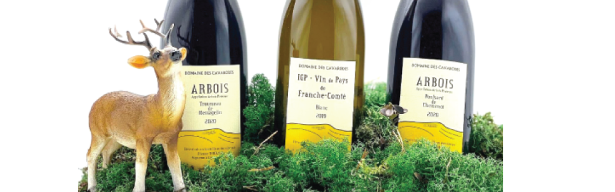 Domaine des Cavarodes | Trousseau Messagelin 2020 | MORE Natural Wine