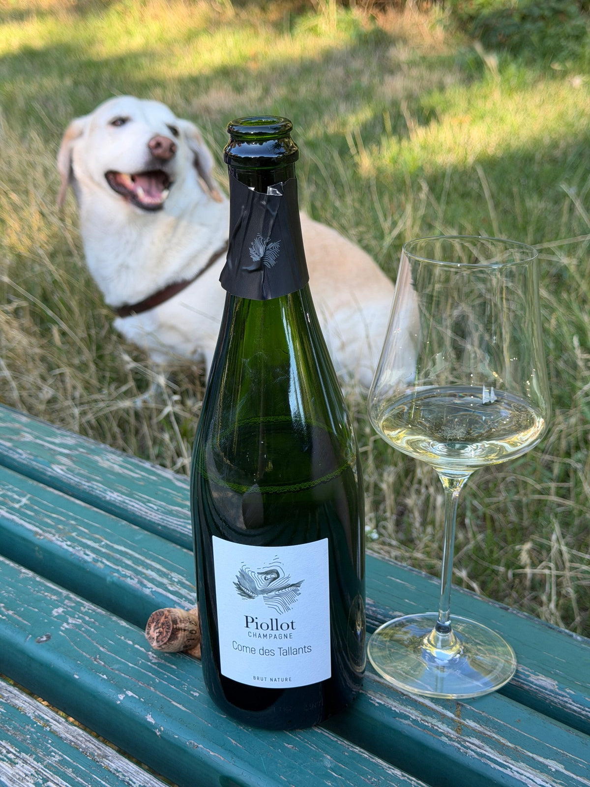 Bottle of Piollot Come des Tallants Brut Nature grower Champagne with a poured glass