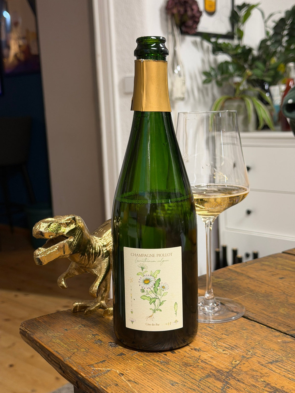 Bottle of Champagne Piollot Marguerite, Leucanthemum vulgare, from the Côte des Bar, with a filled glass