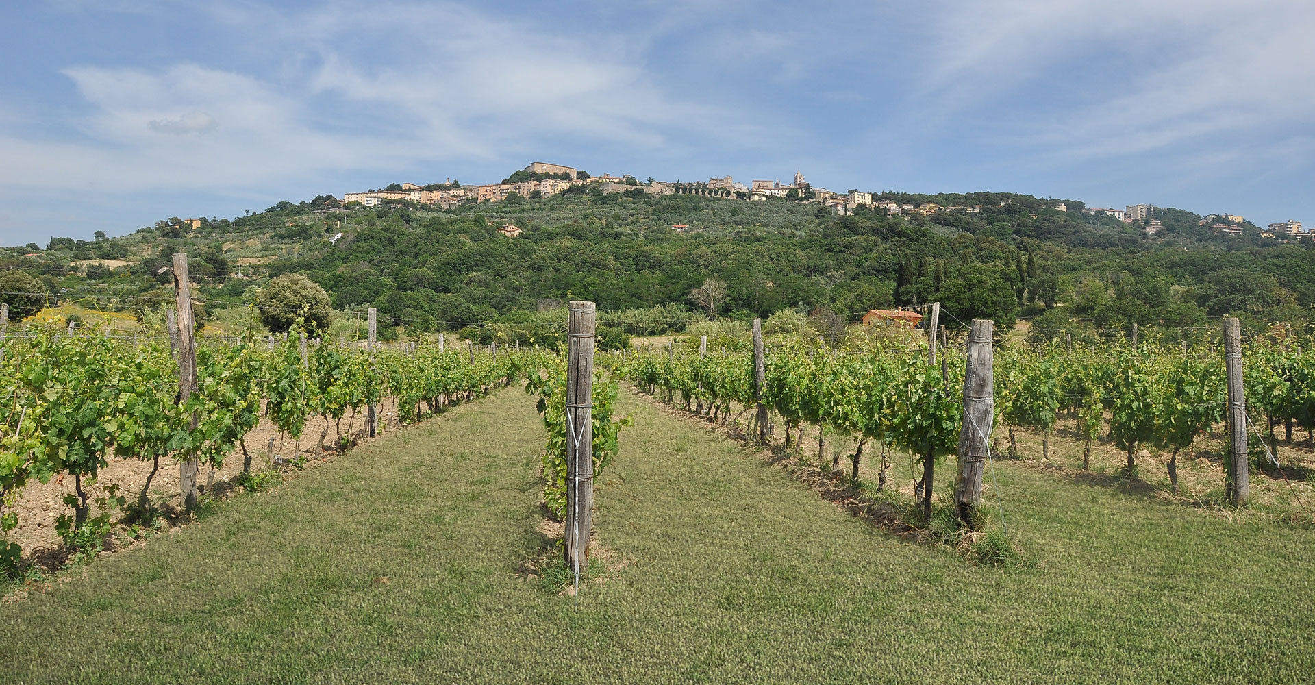 Massa Vecchia – MORE Natural Wine