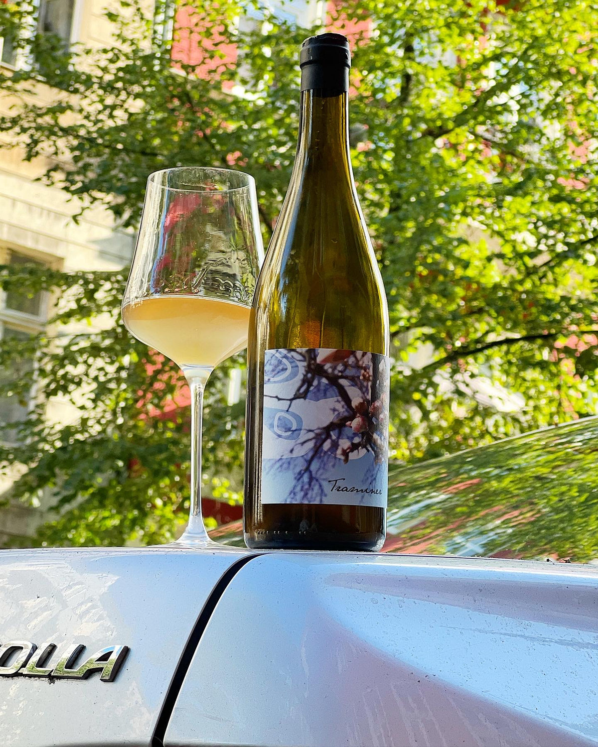 Judith Beck - Judith Beck natural wine from Burgenland with a glass