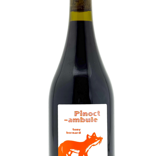 Tony Bornard | Le Pinoctambule 2022 MAGNUM | MORE Natural Wine