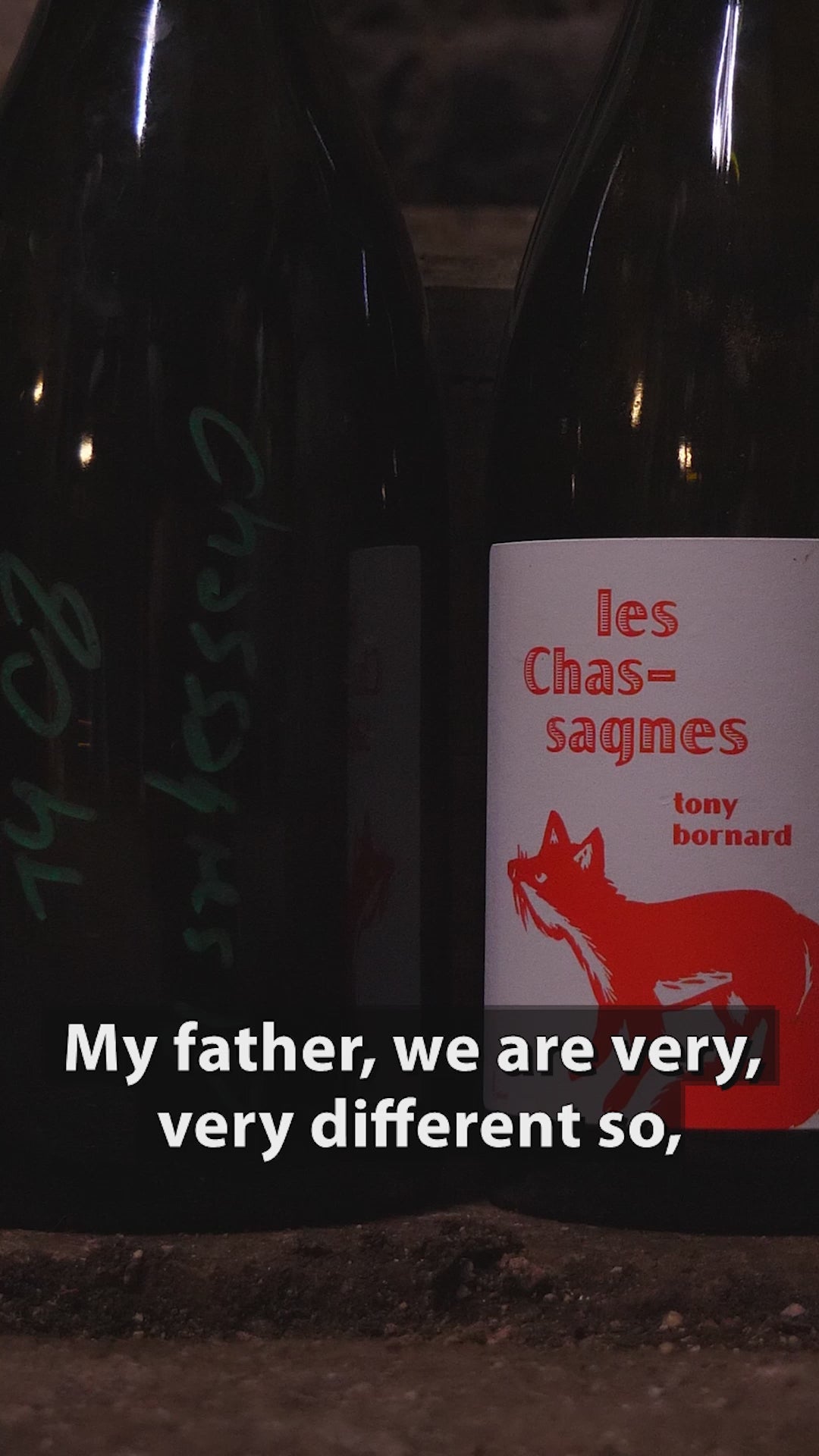 Domaine Bornard | ジュラ地方ピュピランのトニー・ボルナールのワイン