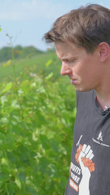 Valentin Morel - Jura Book Another Wine