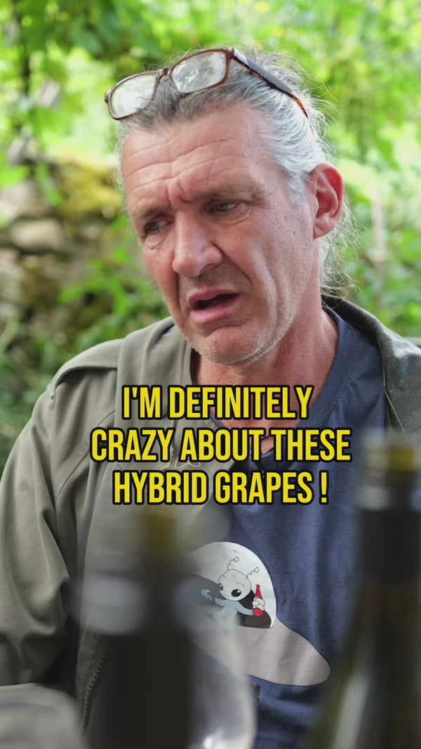 Didier Grappe Hybrid Grapes
