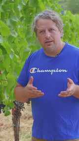 Christian Tschida - Stockkultur 2024