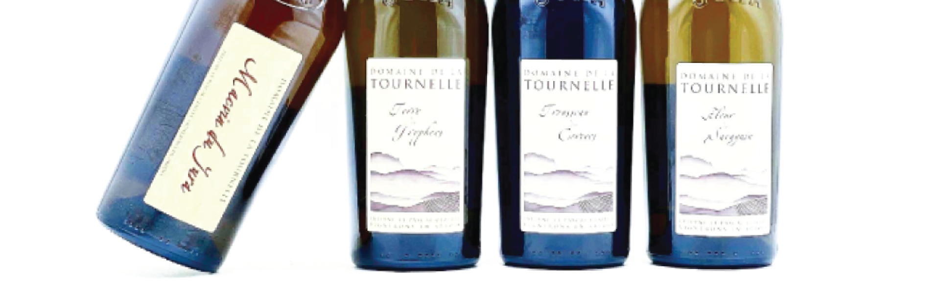 Domaine de La Tournelle | MORE Natural Wine Domaine de La Tournelle | MORE Natural Wine