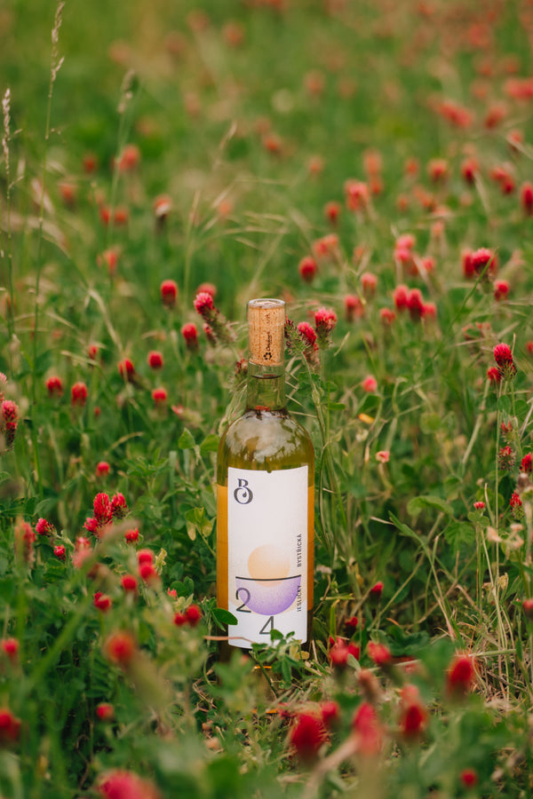 Bystricky - Jesličky 2024