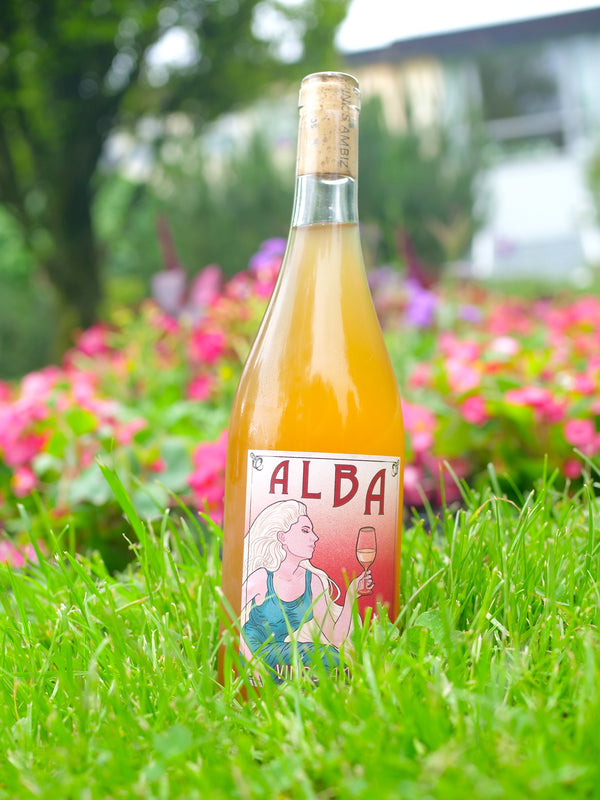 Vinos Ambiz - ALBA Tinaja 2021