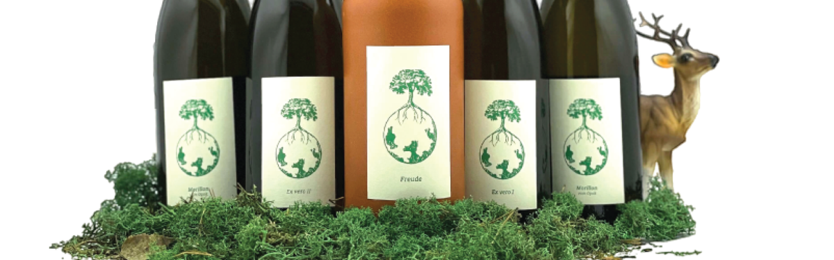 Werlitsch | Ex-Vero 1 | MORE Natural Wine Werlitsch | Ex-Vero 1 | MORE Natural Wine