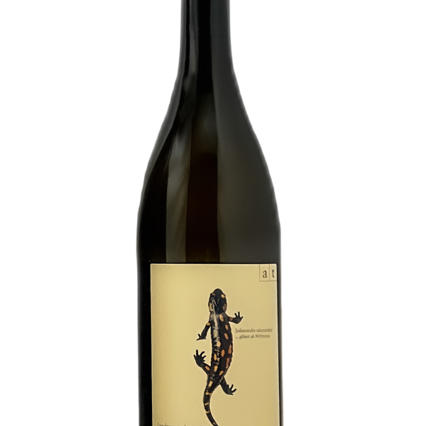 アンドレアス Tscheppe | サラマンダー2021 MORE Natural Wine