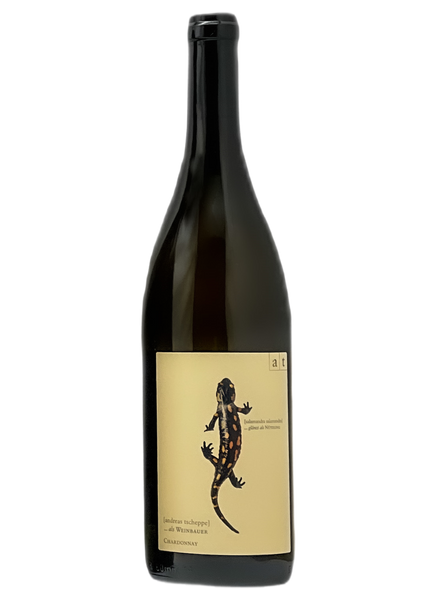 アンドレアス Tscheppe | サラマンダー2021 MORE Natural Wine アンドレアス Tscheppe | サラマンダー2021 MORE Natural Wine