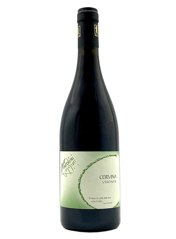 Corvina 2015 | Natural Wine by Antolini.