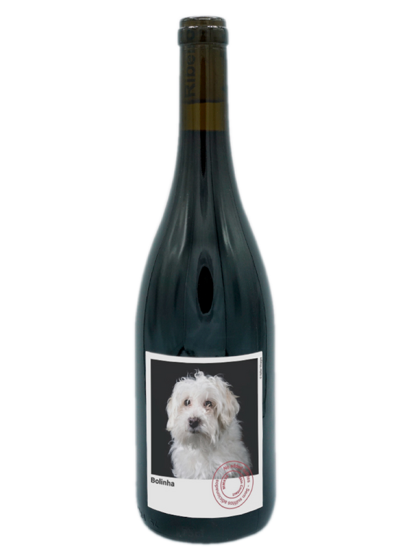 Casa de Mouraz - Planète Mouraz Bolinha