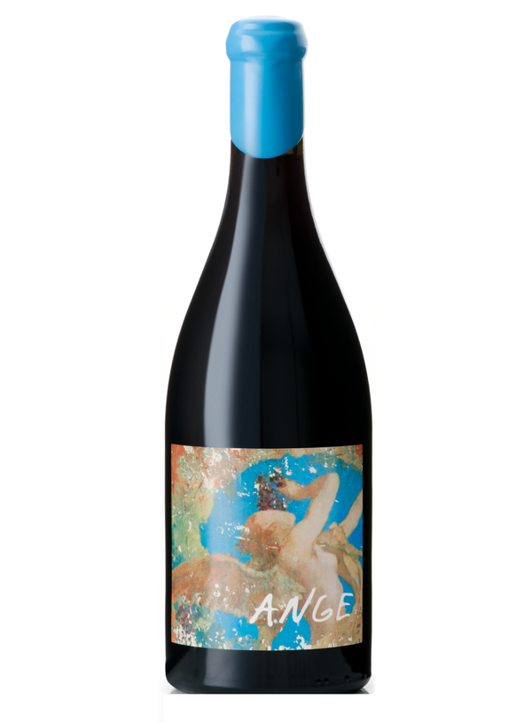 Ange 2017 | Natural Wine by Domaine de l'Ecu.