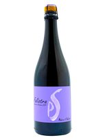 Falistra Lambrusco 2019 | Natural Wine by Podere Il Saliceto.