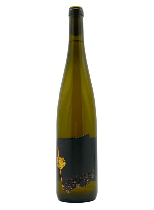 Bianco 2020  | Natural Wine by Hannes Bergdoll.