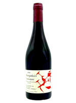 Beaujolais Nouveau 2022 | Natural Wine by Jean Foillard.