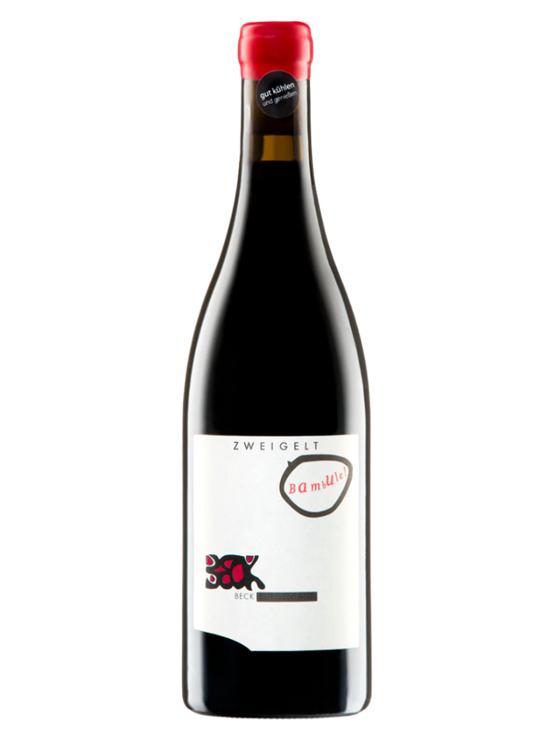 Zweigelt Bambule | Natural Wine by Judith Beck