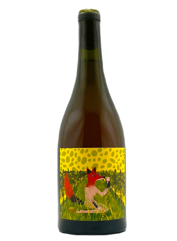 Otoño | Natural Wine by Kindeli (NZ).