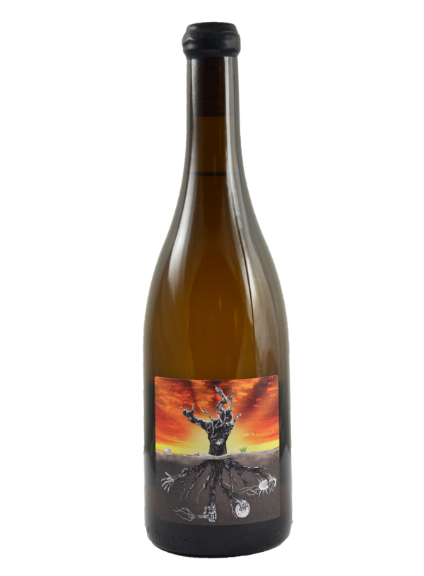 Microbio Blanco | Natural Wine by MicroBioWines.
